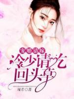 寵婚錯嫁：冷少請吃回頭草