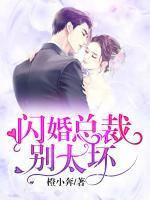 閃婚總裁別太壞