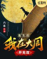 重生后我在大周開無雙