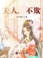 夫人，不欺