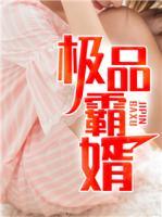 極品霸婿