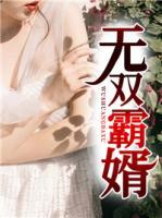 無雙霸婿