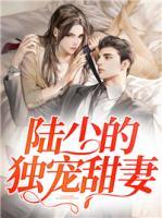 陸少的獨(dú)寵甜妻