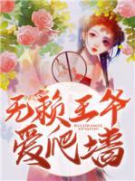 無賴王爺愛爬墻