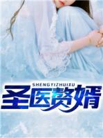 圣醫(yī)贅婿