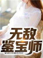 無敵鑒寶師