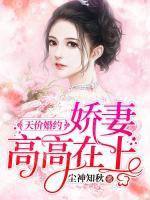 天價(jià)婚約：嬌妻高高在上