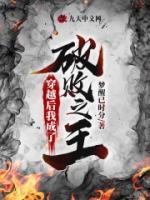 穿越后我成了破敗之王