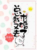 總裁又去求婚了