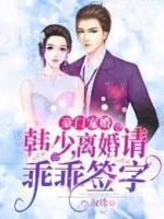 豪門寵婚：韓少，離婚請簽字