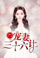 寵妻三十六計(jì)