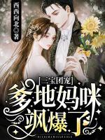 三寶團(tuán)寵：爹地，媽咪颯爆了！