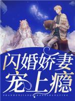 閃婚嬌妻寵上癮