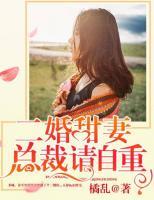 二婚甜妻：總裁請自重