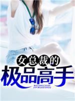女總裁的極品高手