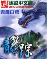 龍蹤
