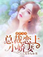 盛世寵愛：總裁戀上小嬌妻