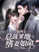 一胎兩寶：總裁爹地嗜妻如命