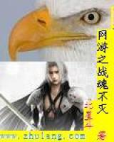 網(wǎng)游之戰(zhàn)魂不滅