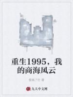 重生1995，我的商海風(fēng)云