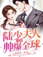 陸少夫人馬甲帥爆全球