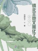 夫人，鎮(zhèn)北王他又黑化了！