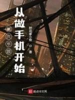 振興華國從做手機(jī)開始