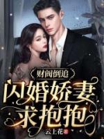 財(cái)閥倒追：閃婚嬌妻求抱抱