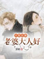 總裁追妻：老婆大人好