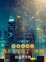 開發(fā)大西北：我在戈壁建了一座城