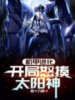 機(jī)甲進(jìn)化：開局怒揍太陽神
