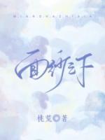 面紗之下