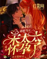 離婚當(dāng)天，宋太太竟然懷孕了！