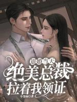 退婚當(dāng)天，絕美總裁拉著我領(lǐng)證