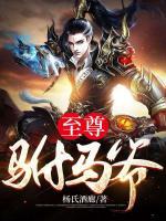 至尊駙馬爺