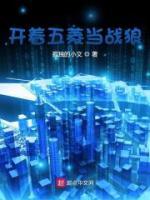 開著五菱當(dāng)戰(zhàn)狼