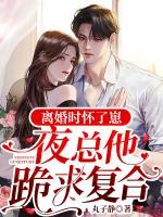 離婚時懷了崽，夜總他跪求復(fù)合