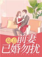 陸總，前妻已婚勿擾