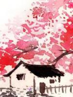 龍鳳雙寶
