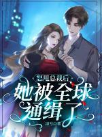 怒甩總裁后，她被全球通緝了