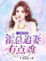 二婚漫漫：霍總追妻有點難