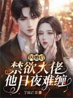 閃婚后禁欲大佬他日夜難纏