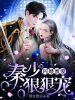 閃婚蜜愛：秦少，狠狠寵