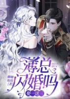 薄總，閃婚嗎？娶一送三