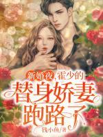 新婚夜，霍少的替身嬌妻跑路了