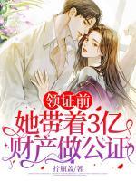 領證前：她帶著3億財產做公證