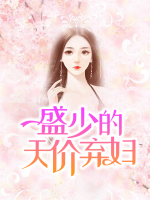 盛少的天價棄婦