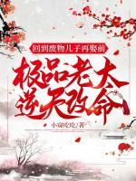 回到廢物兒子再娶前，極品老太逆天改命