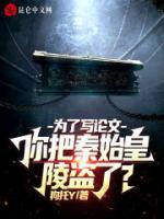 為了寫論文，你把秦始皇陵盜了？
