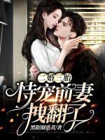 二婚三胎：恃寵前妻拽翻了